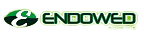 Endowed Blog